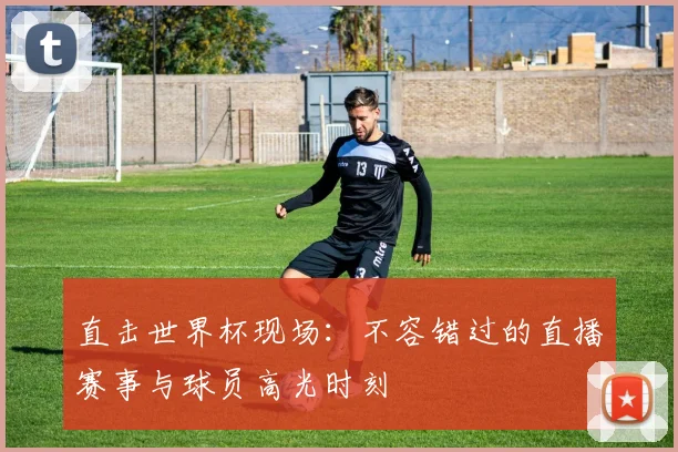 直击世界杯现场：不容错过的直播赛事与球员高光时刻